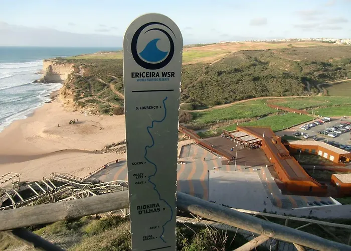 The Surf - * 埃里塞拉