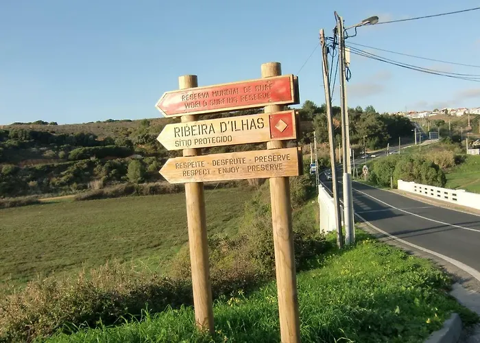 The Surf - * 埃里塞拉