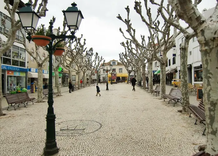 The Surf - 埃里塞拉